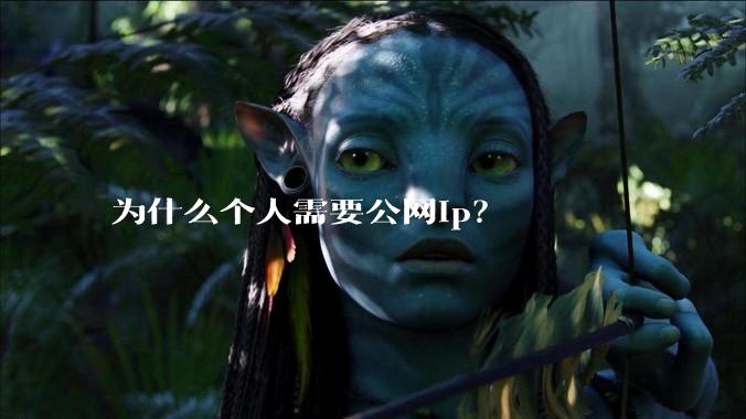 为什么个人需要公网ip？